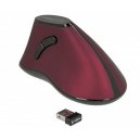 Souris sans fils ergonomique verticale DeLock